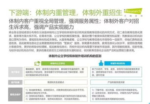 2019年中國(guó)教育信息化行業(yè)報(bào)告 信息技術(shù)咨詢(xún)服務(wù)